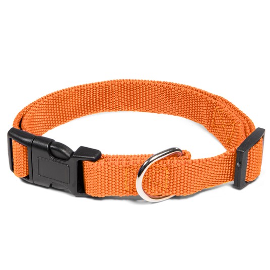 Изображение на странице