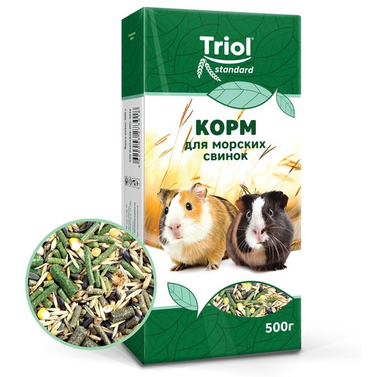 Изображение на странице