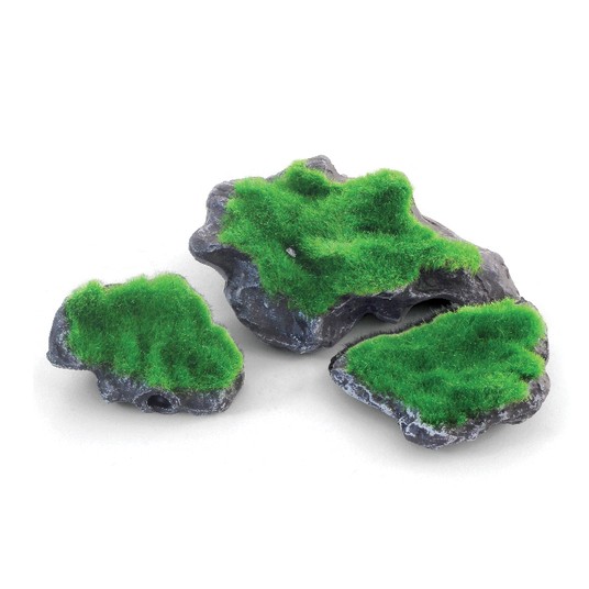 Изображение на странице