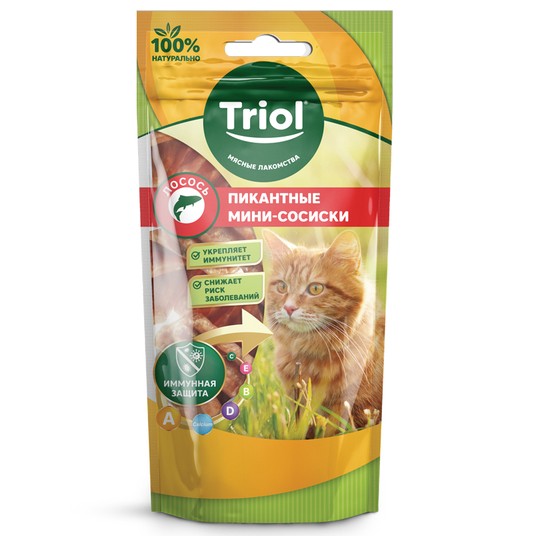 Изображение на странице