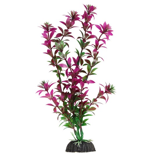 Изображение на странице