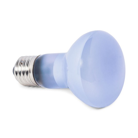 Изображение на странице