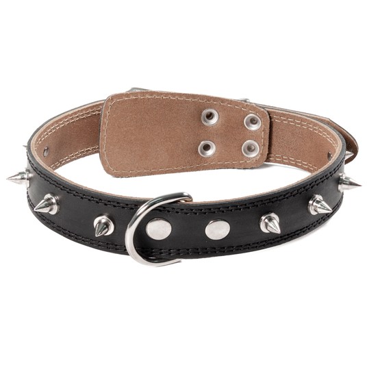 Изображение на странице