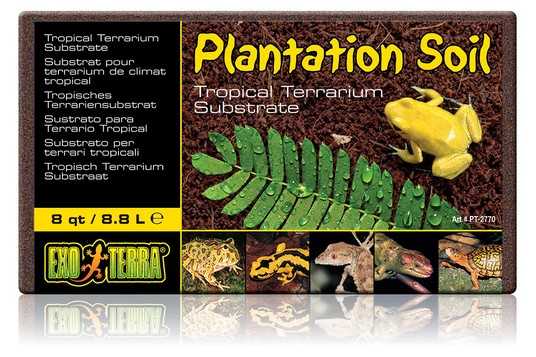 Изображение на странице