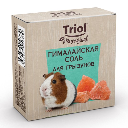 Изображение на странице