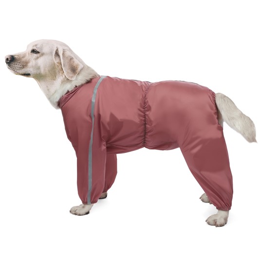 Изображение на странице