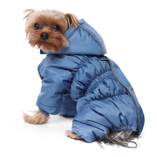 Изображение на странице