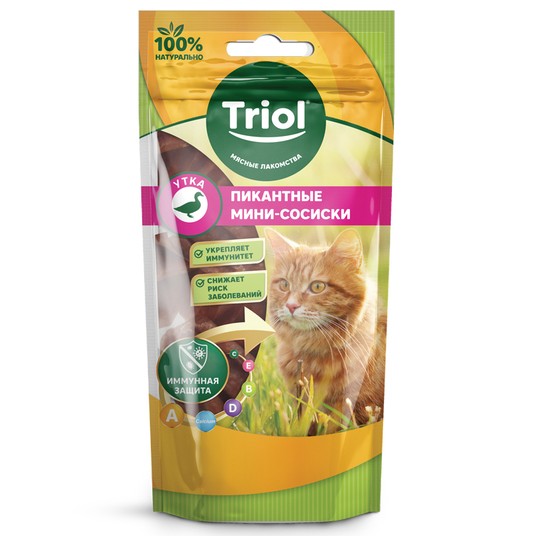 Изображение на странице