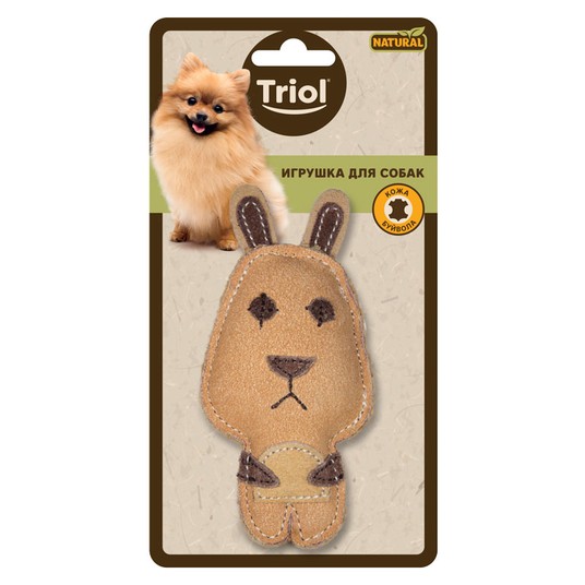 Изображение на странице