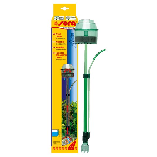 Изображение на странице