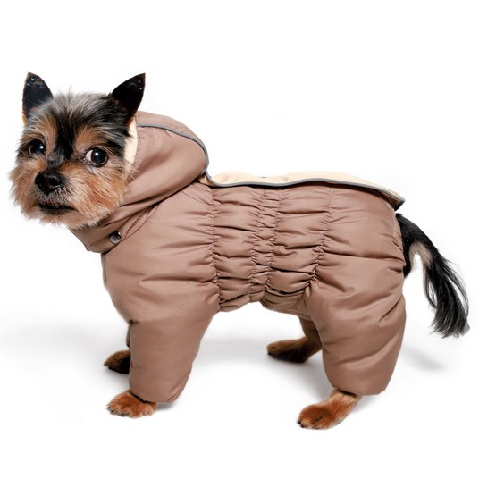 Изображение на странице