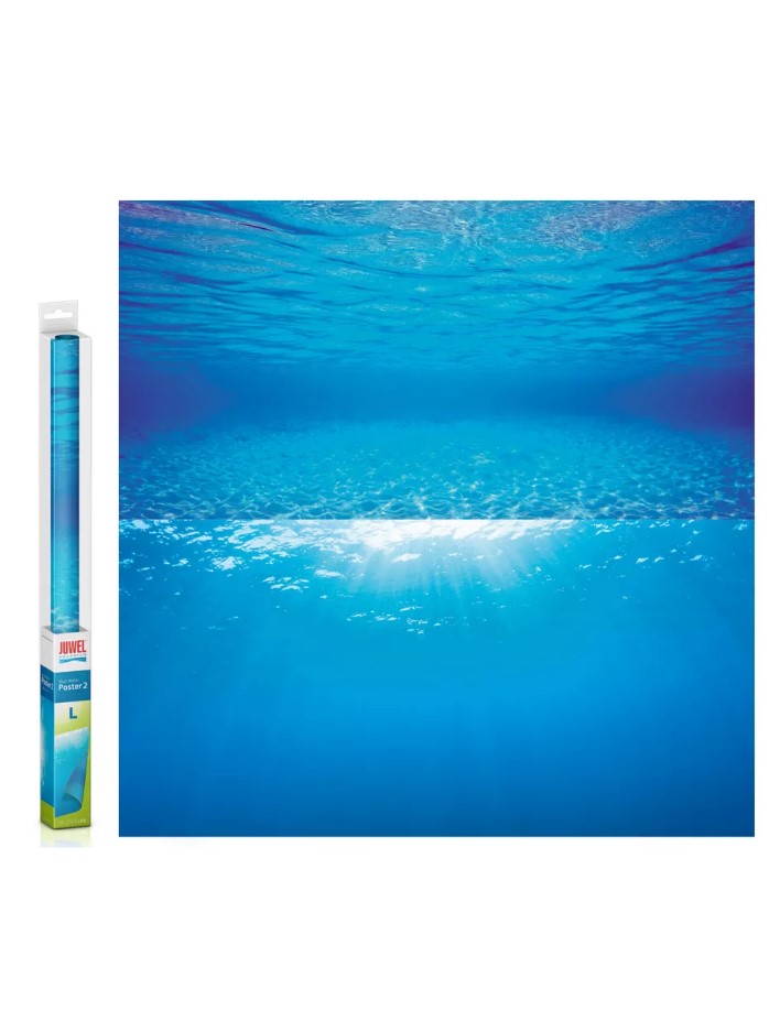 Изображение на странице