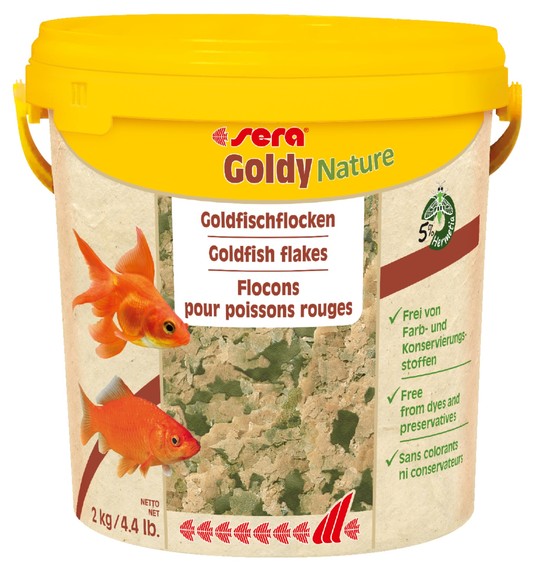 Изображение на странице