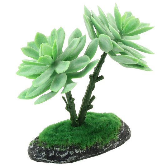 Изображение на странице