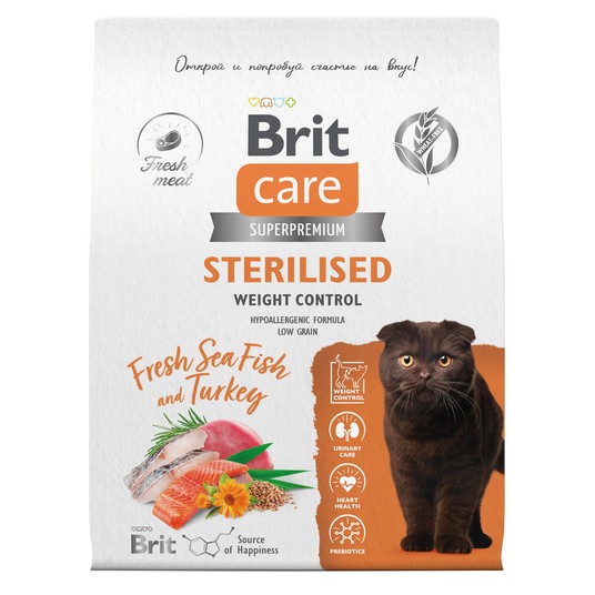 Изображение на странице