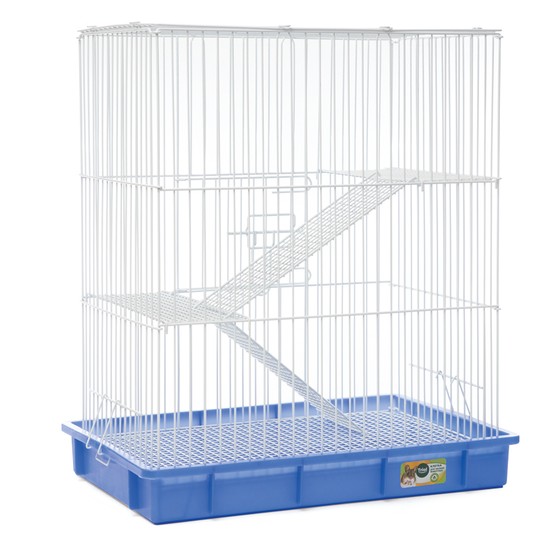 Изображение на странице