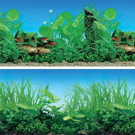 Изображение на странице