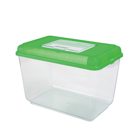 Изображение на странице