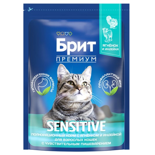 Изображение на странице