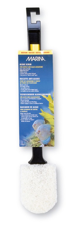 Изображение на странице