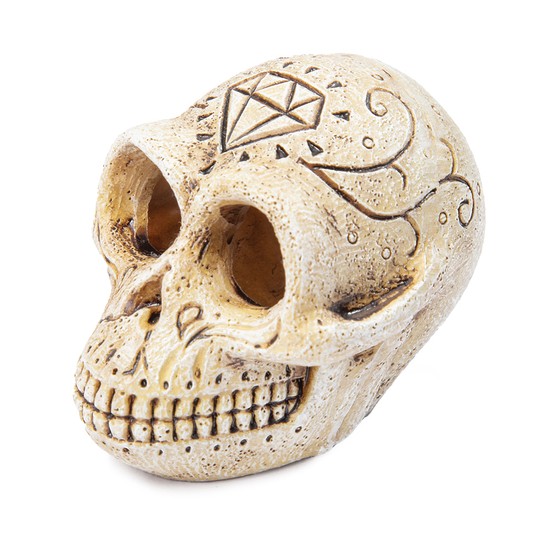 Грот "Череп обезьяны", 72*54*54мм