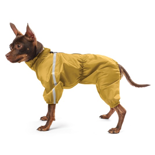 Изображение на странице