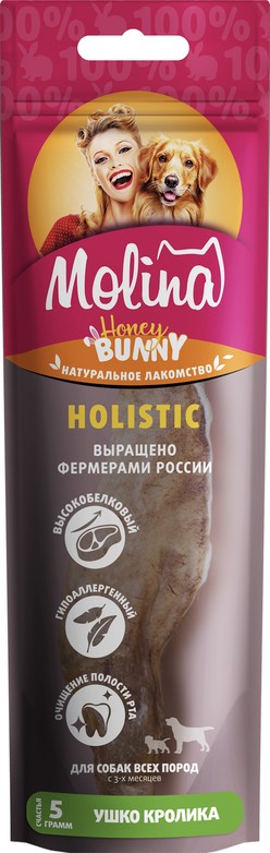 Изображение на странице