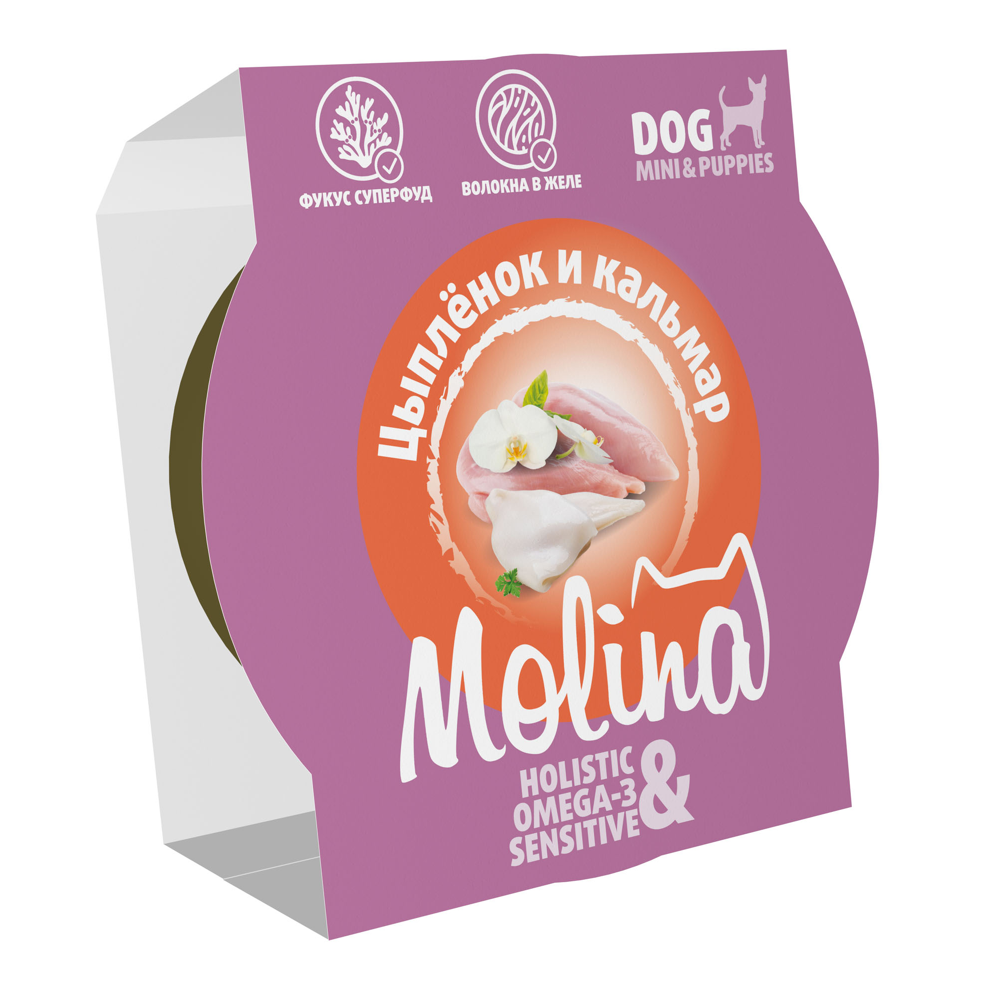 Изображение на странице