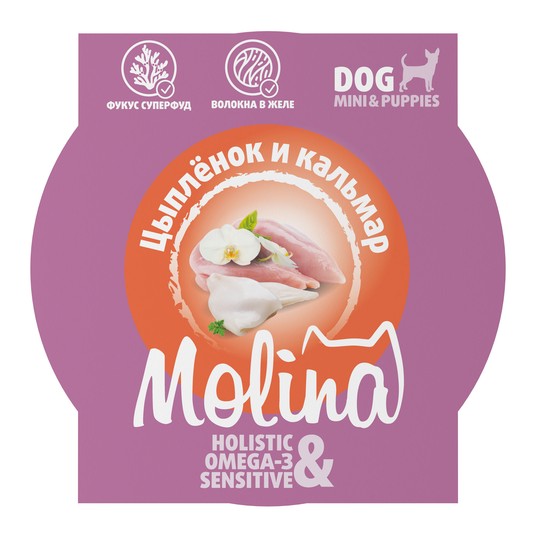 Изображение на странице