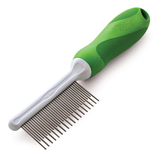 Изображение на странице