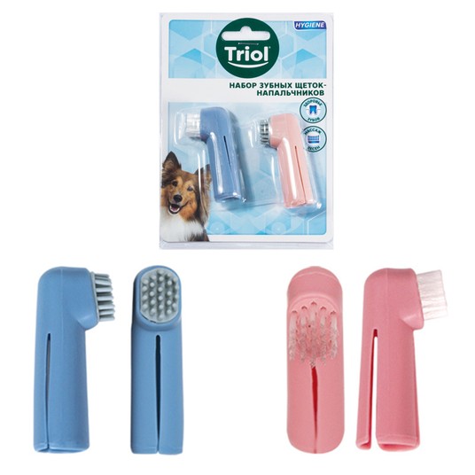 Изображение на странице