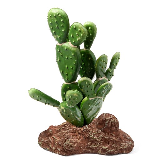 Изображение на странице