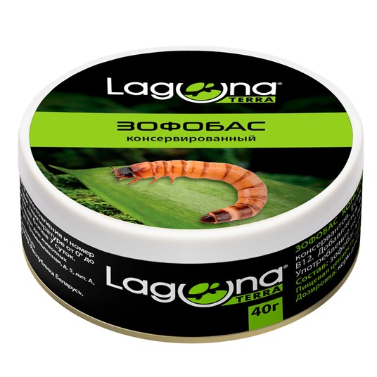 Изображение на странице