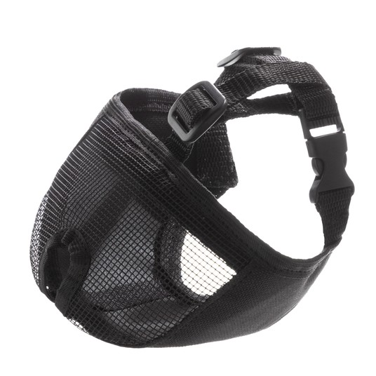 Изображение на странице