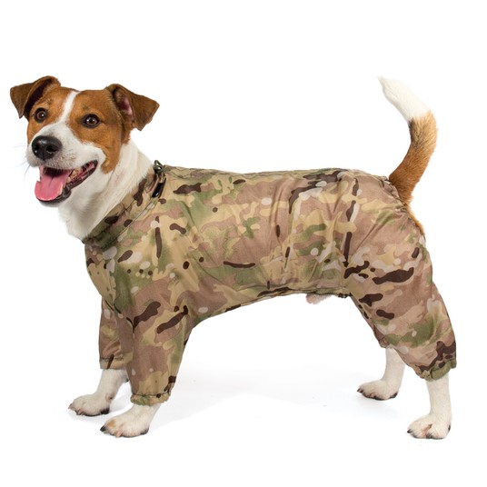 Изображение на странице