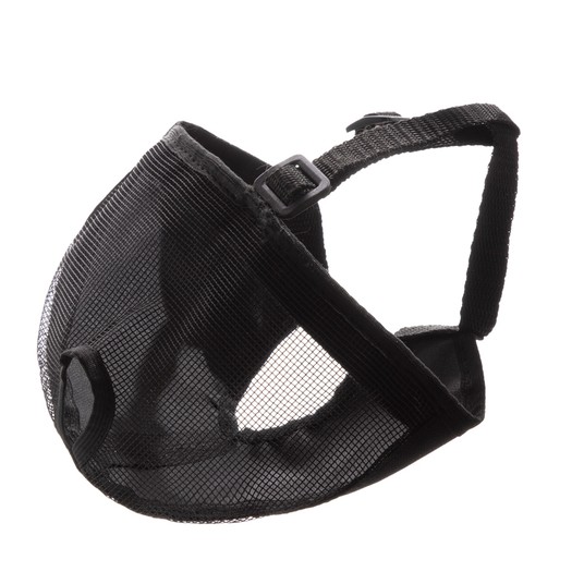 Изображение на странице