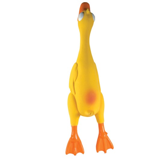 Изображение на странице