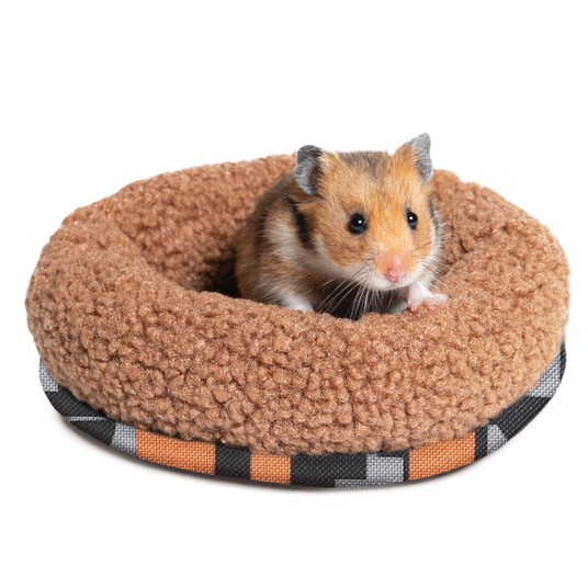 Изображение на странице