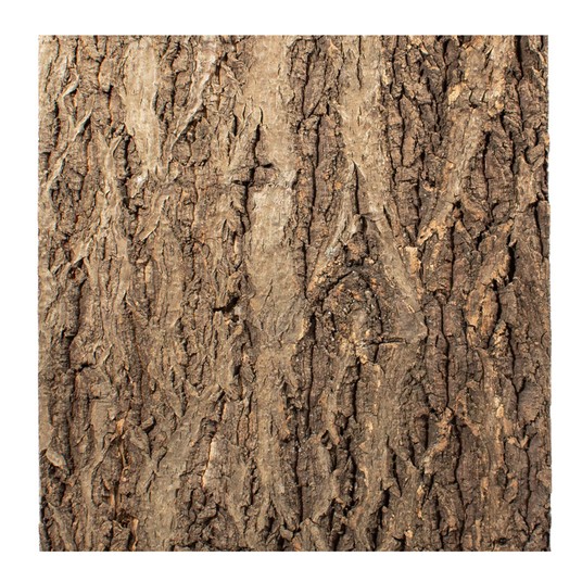 Изображение на странице