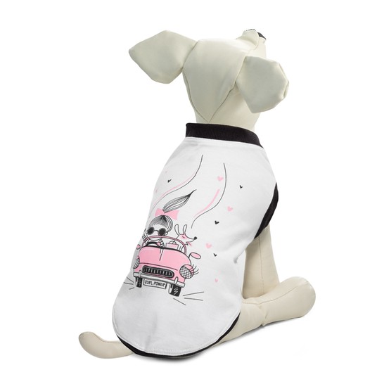 Изображение на странице