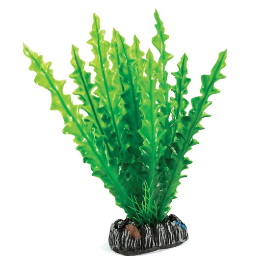 Изображение на странице