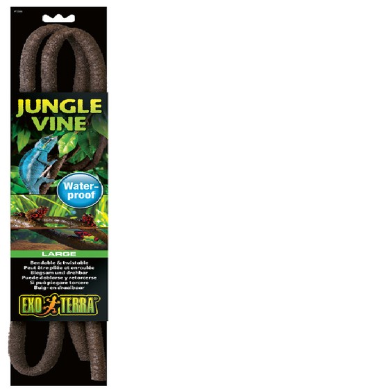 Изображение на странице