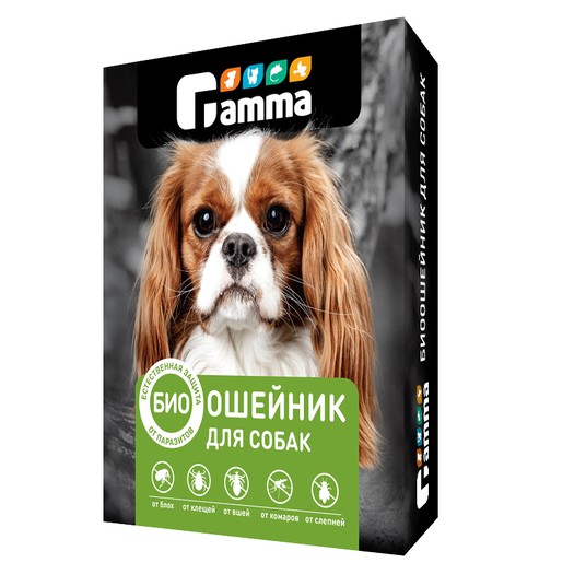 Изображение на странице