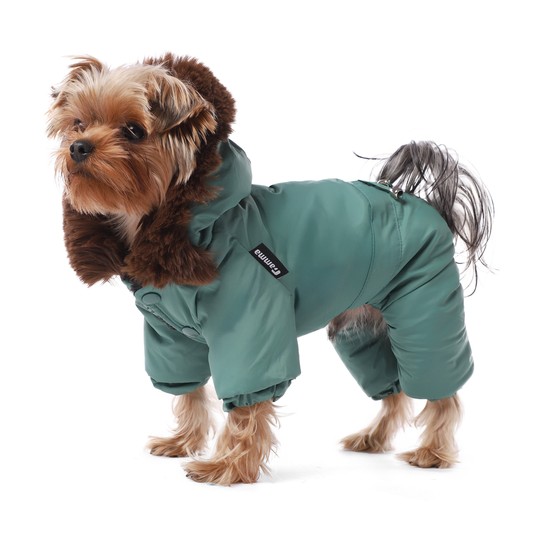 Изображение на странице