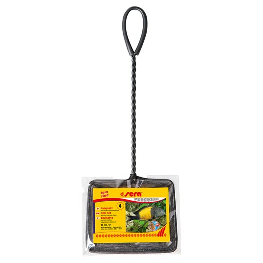 Изображение на странице