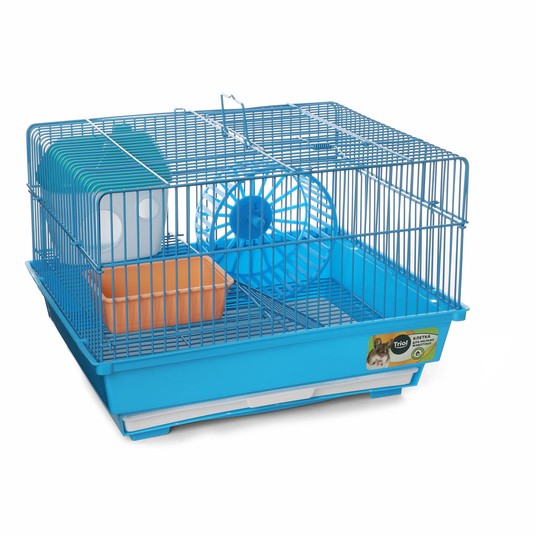 Изображение на странице