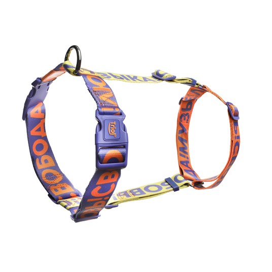 СОЮЗМУЛЬТФИЛЬМ Шлейка анатомическая нейлоновая "Свобода! Музыка! Любовь!" L, оранжево-фиолетовая, обхват груди 670-900 мм