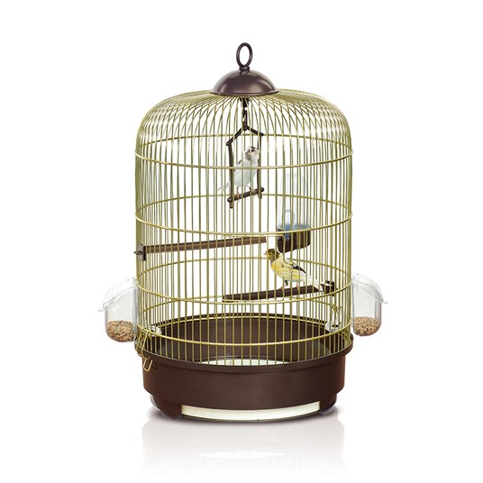 Изображение на странице