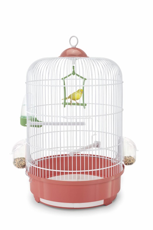 Изображение на странице