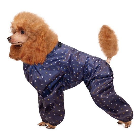 Изображение на странице